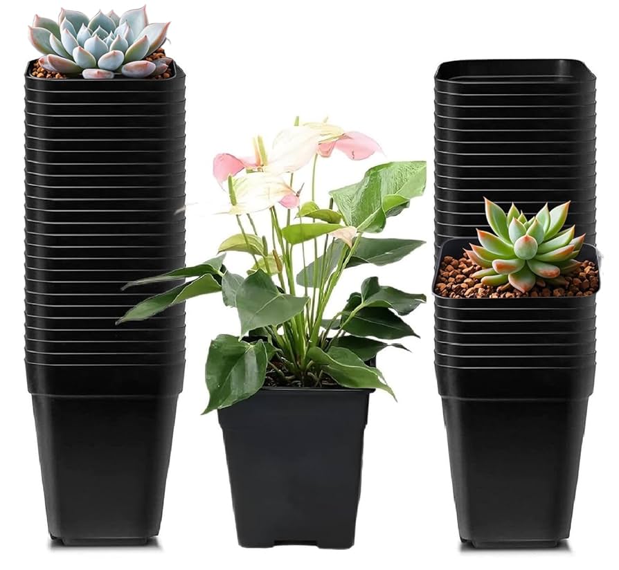 Amazon.co.jp: Toodall 植木鉢 プラスチック製 50個入り 多肉